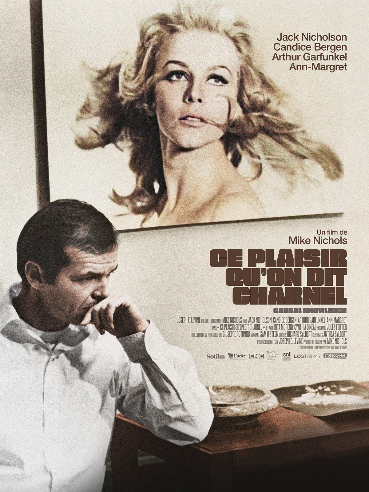 Ce plaisir qu'on dit charnel de Mike Nichols